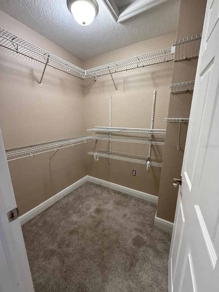 13023 Batten Lane Odessa FL 33556