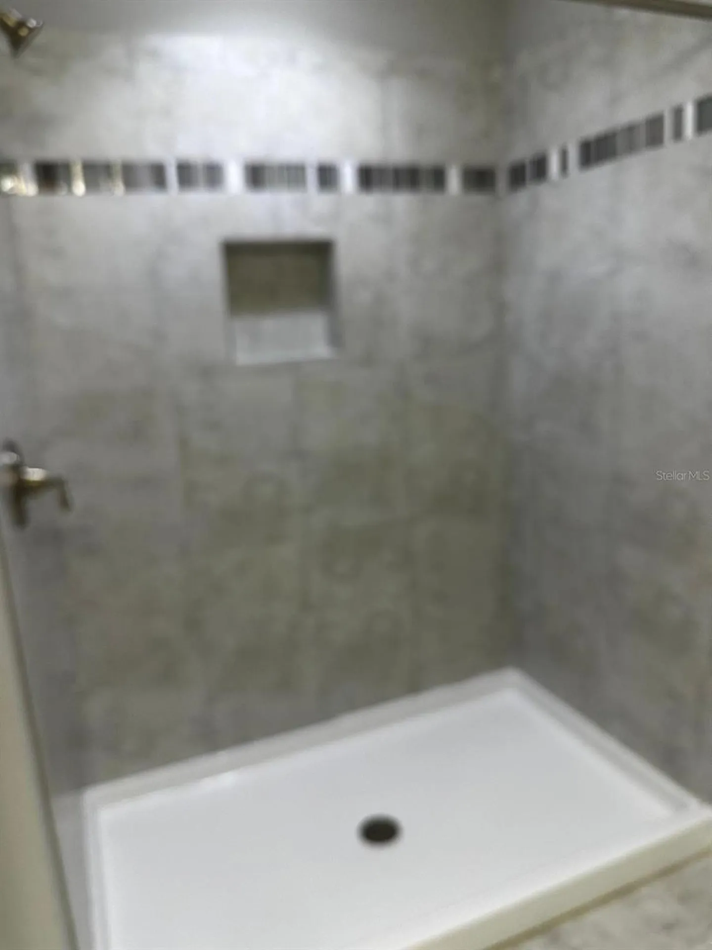 13023 Batten Lane Odessa FL 33556