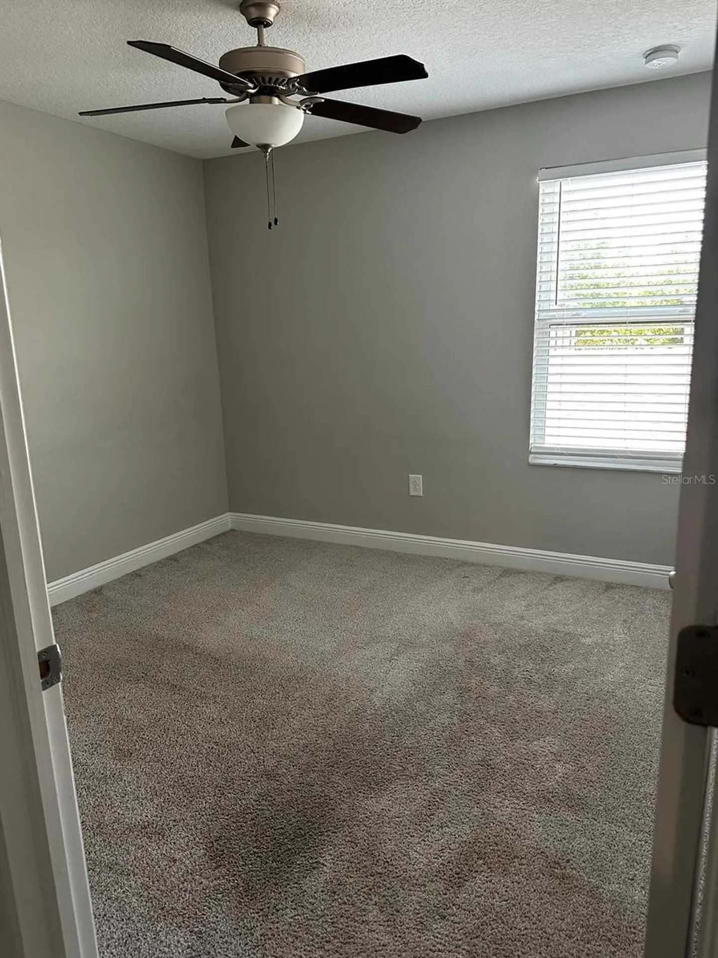 13023 Batten Lane Odessa FL 33556