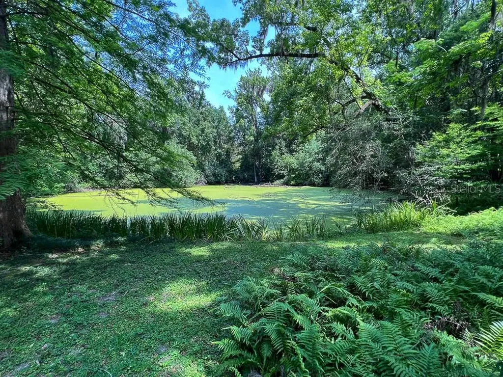 411 NW 26th Street Gainesville FL 32607