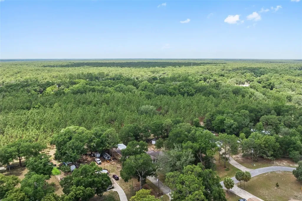 25335 Mardon Circle Paisley FL 32767