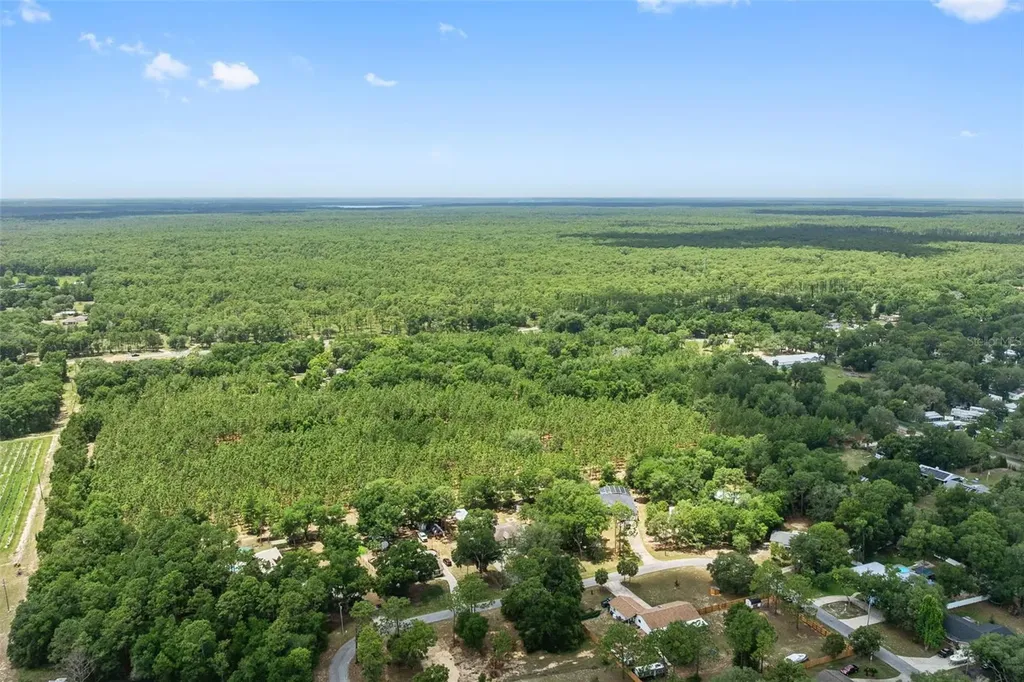 25335 Mardon Circle Paisley FL 32767