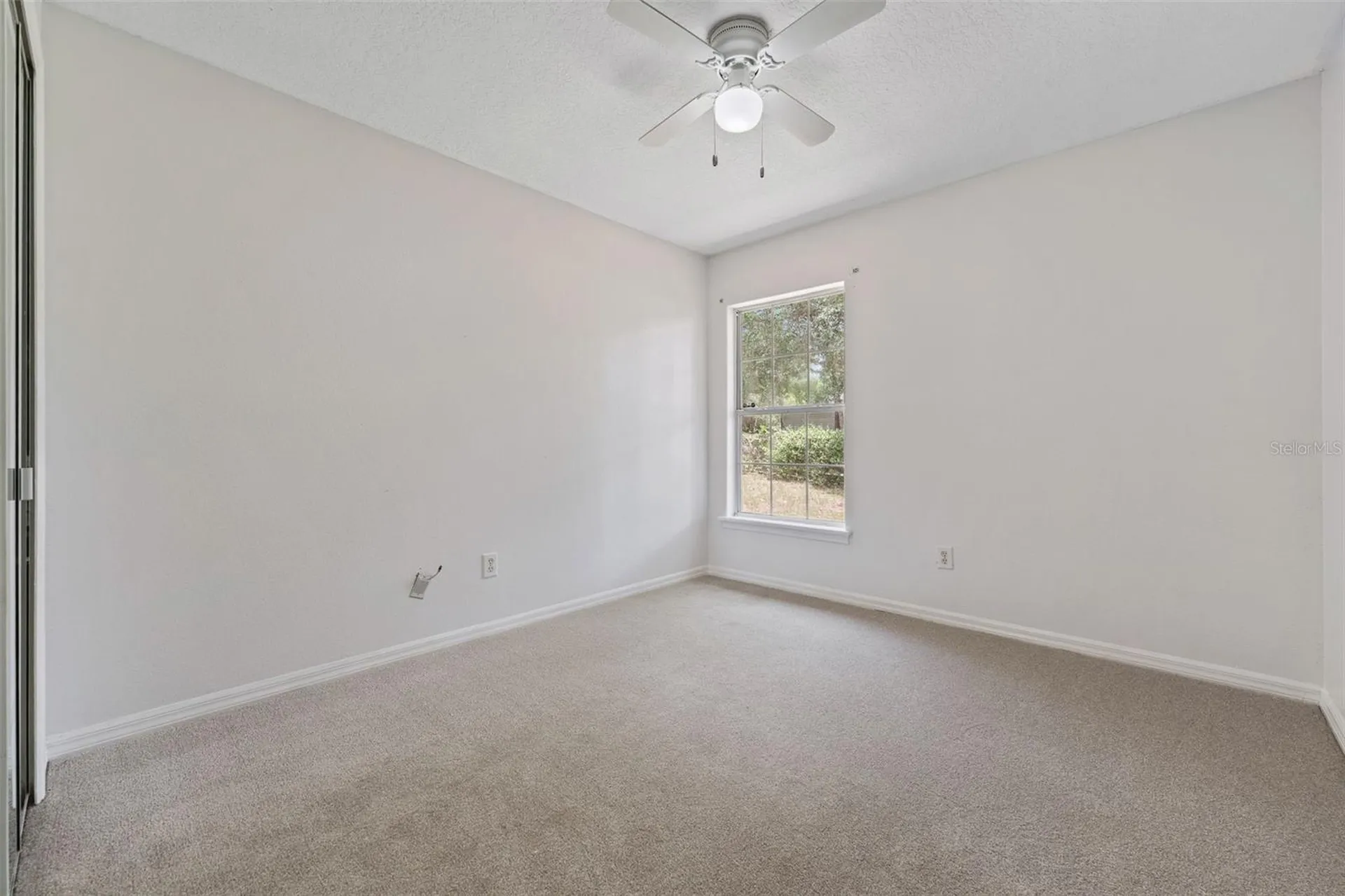25335 Mardon Circle Paisley FL 32767