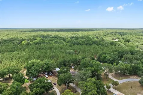 25335 Mardon Circle Paisley FL 32767