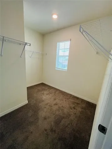 10624 Penny Gale Loop San Antonio FL 33576