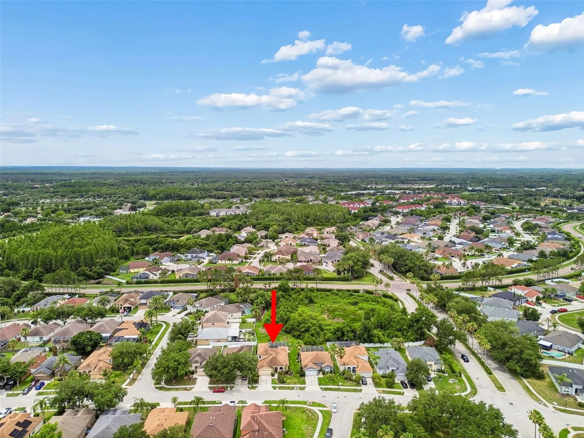 10409 Goldenbrook Way Tampa FL 33647