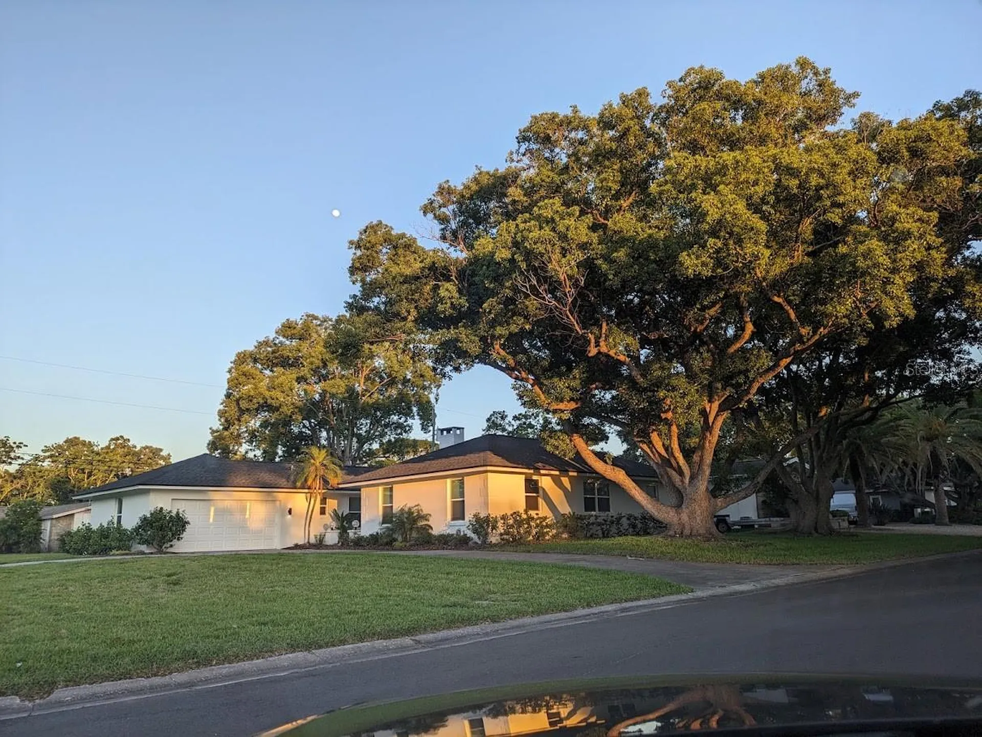 1455 Fairway Drive Dunedin FL 34698