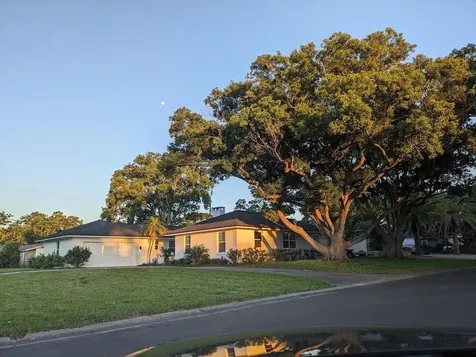 1455 Fairway Drive Dunedin FL 34698