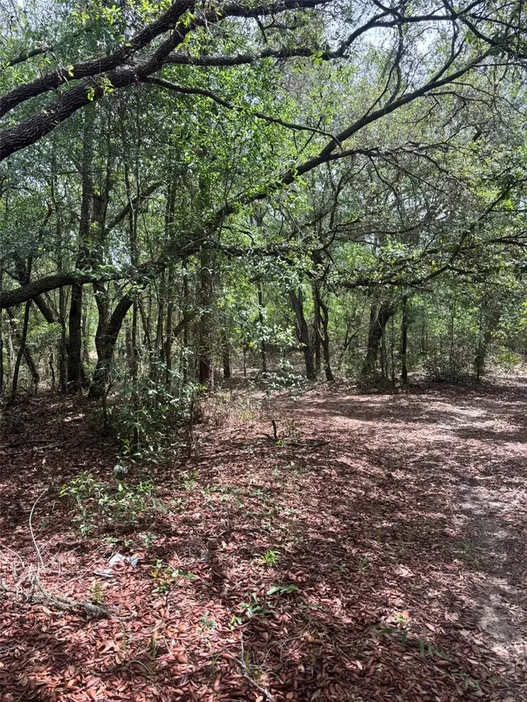 83RD Lane Bronson FL 32621