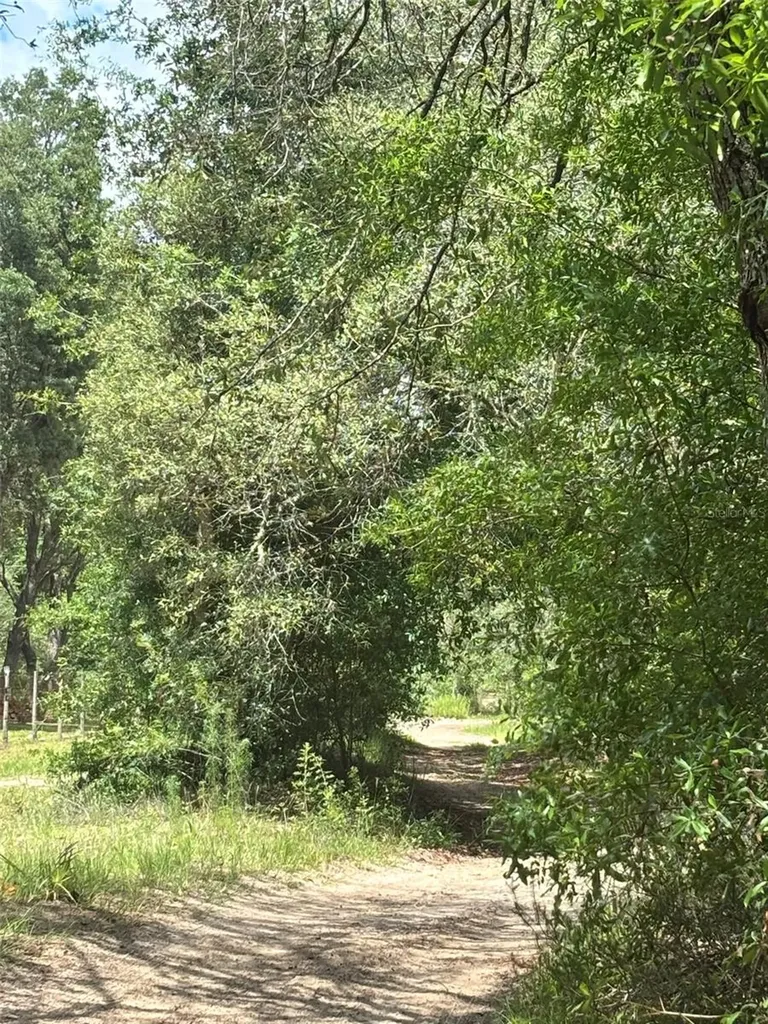83RD Lane Bronson FL 32621