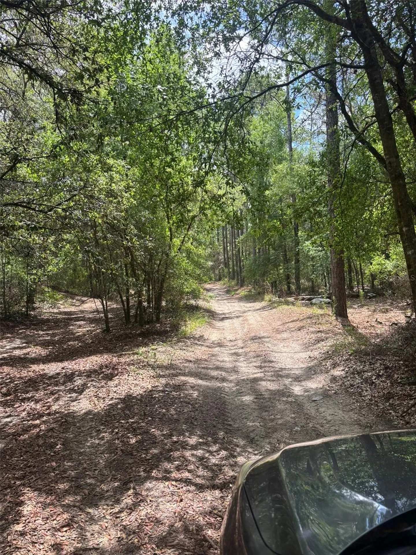 83RD Lane Bronson FL 32621