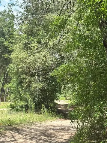 83RD Lane Bronson FL 32621