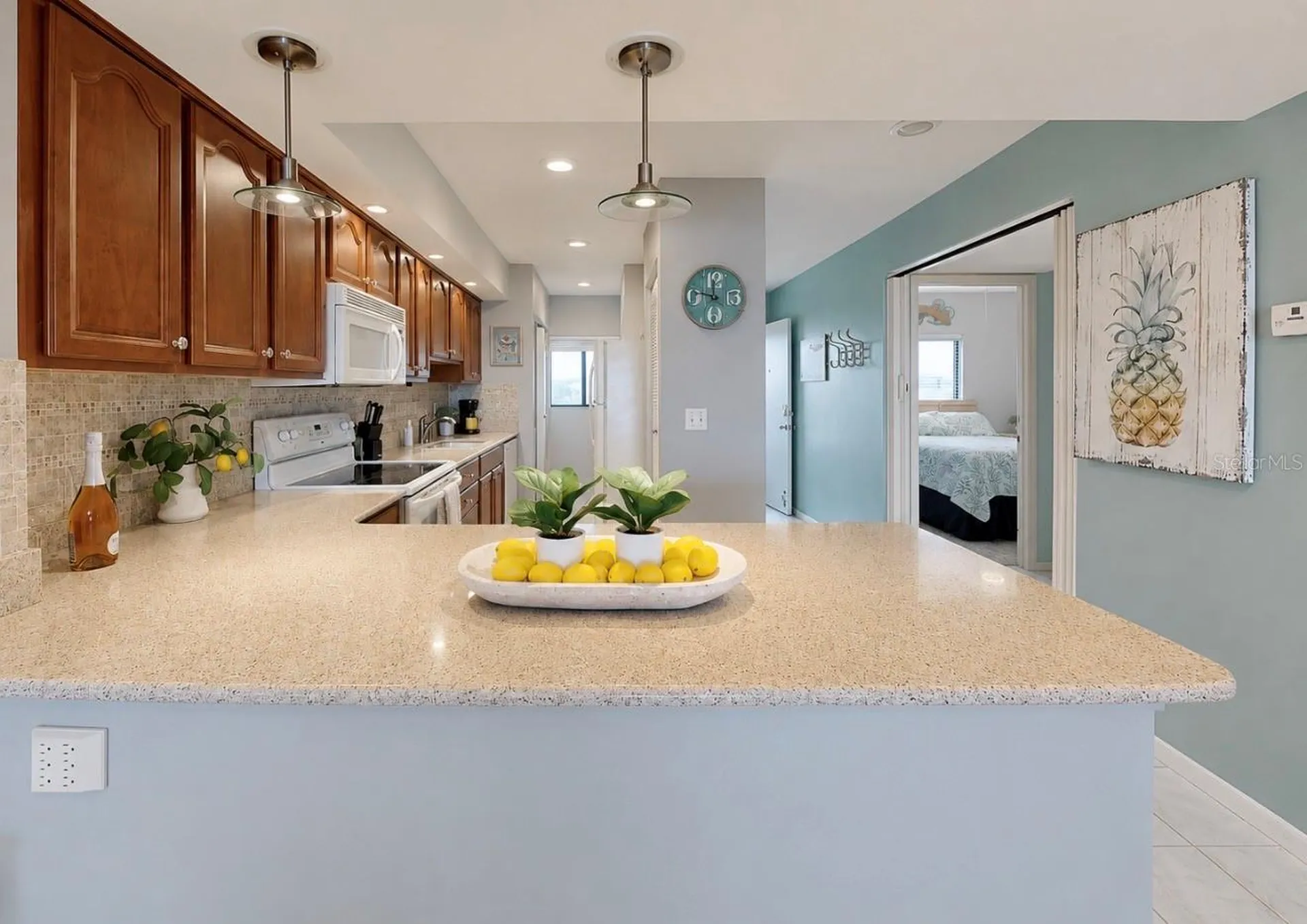 810 Bahia Del Sol Drive Ruskin FL 33570
