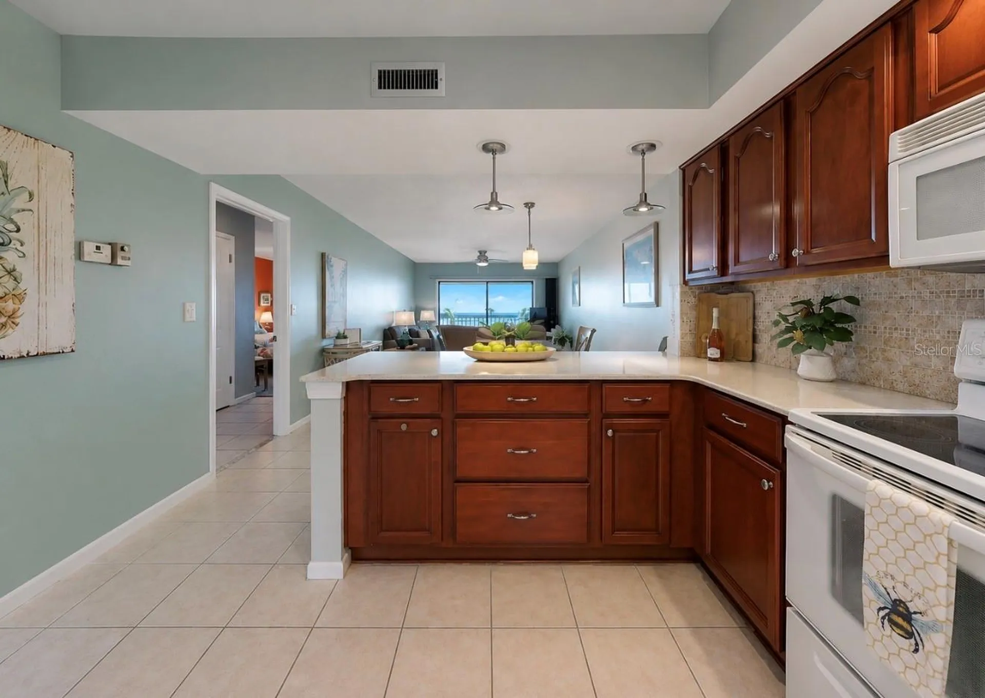 810 Bahia Del Sol Drive Ruskin FL 33570