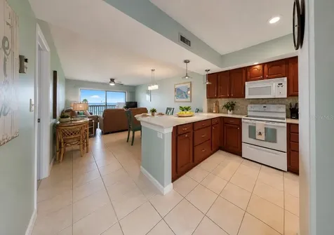 810 Bahia Del Sol Drive Ruskin FL 33570