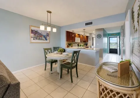 810 Bahia Del Sol Drive Ruskin FL 33570
