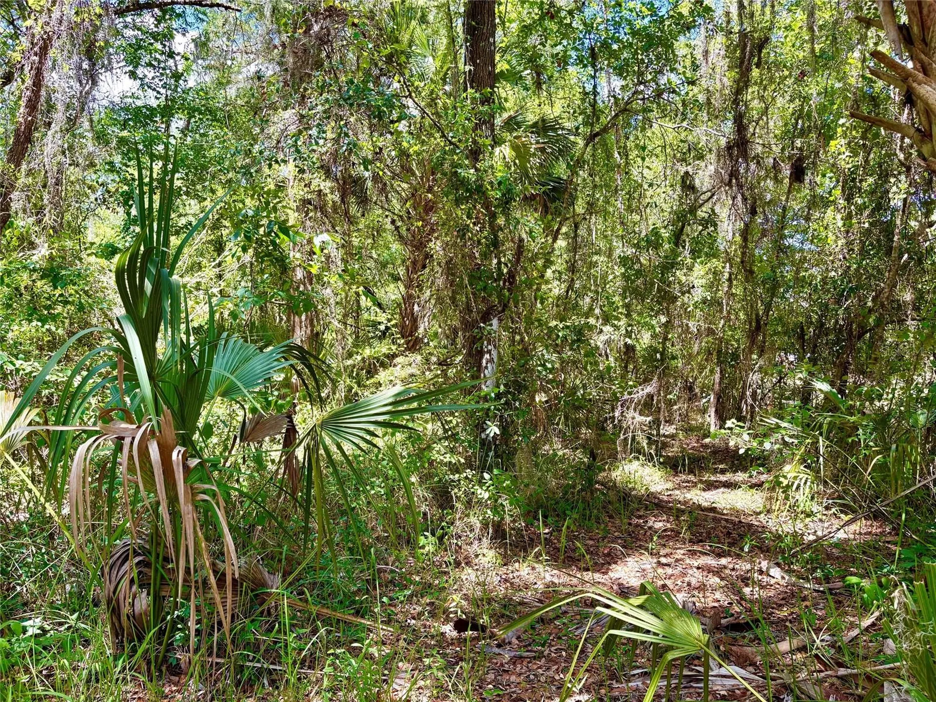 Old Crystal River Road Brooksville FL 34601