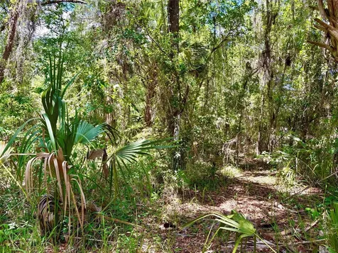 Old Crystal River Road Brooksville FL 34601