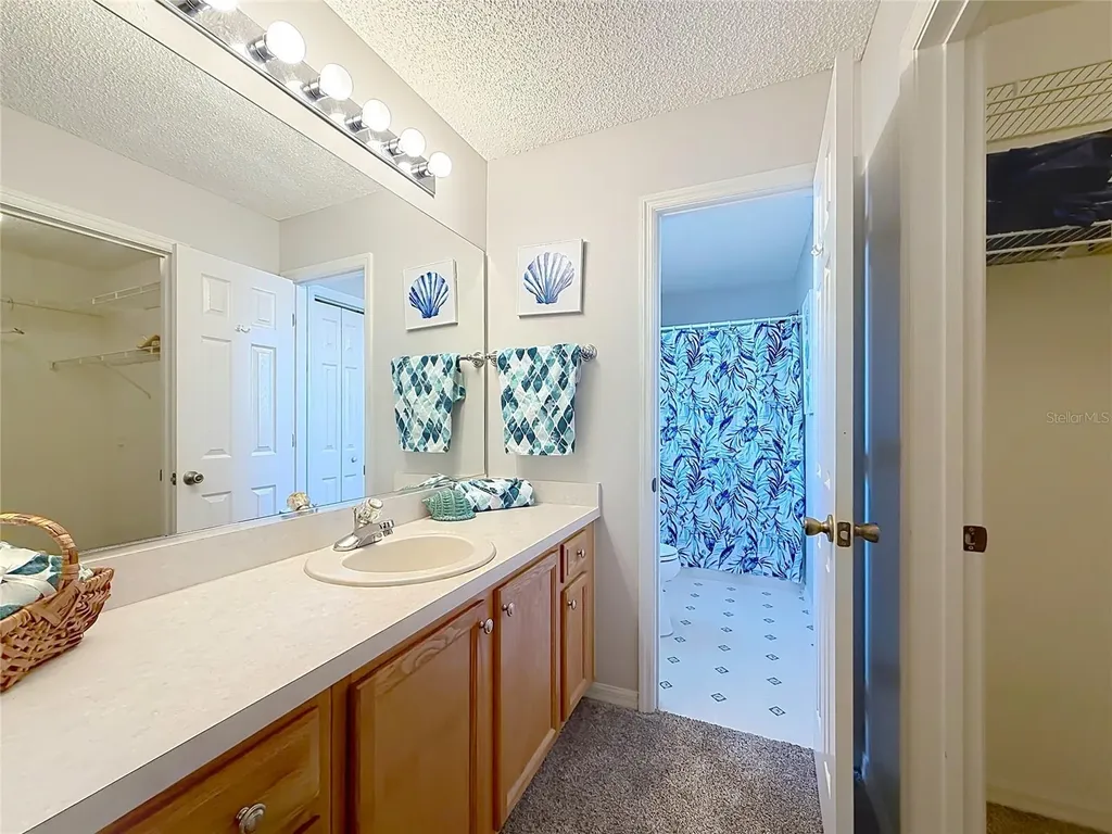 2718 Benavides Drive The Villages FL 32162