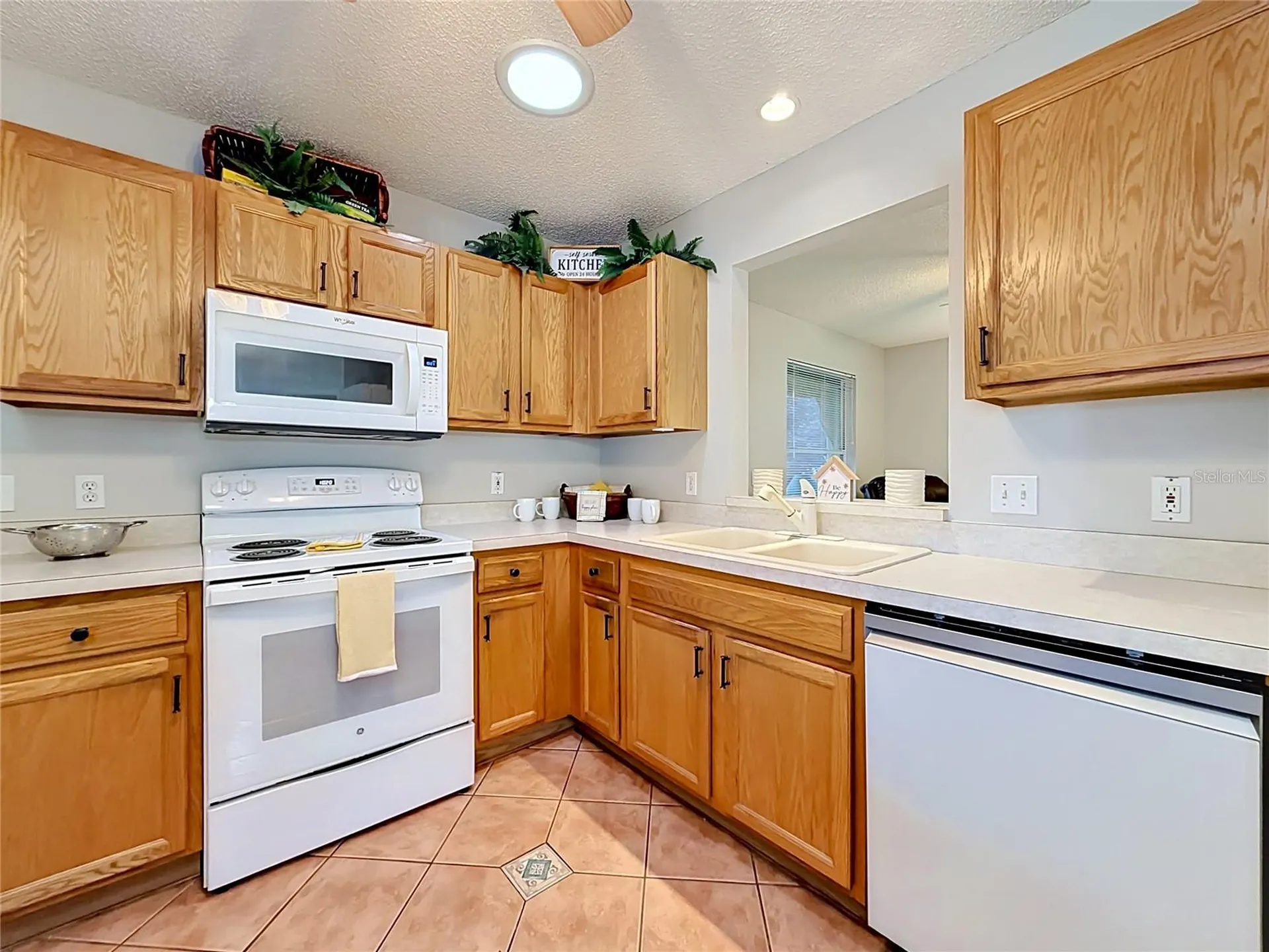 2718 Benavides Drive The Villages FL 32162