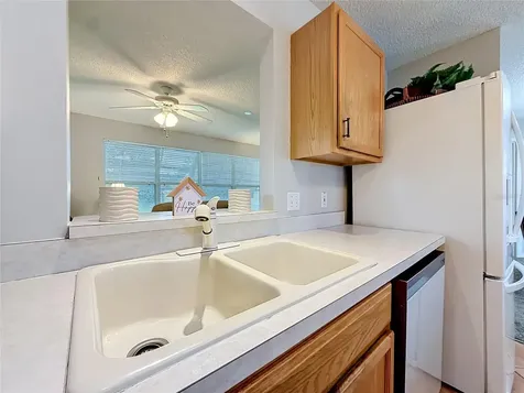 2718 Benavides Drive The Villages FL 32162