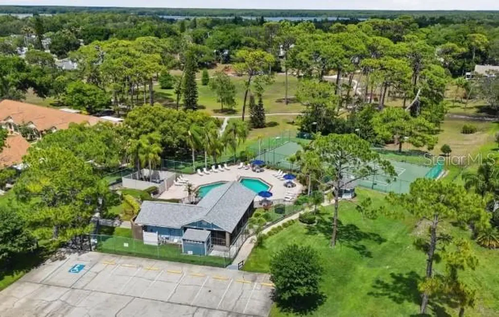 2461 Bentley Drive Palm Harbor FL 34684