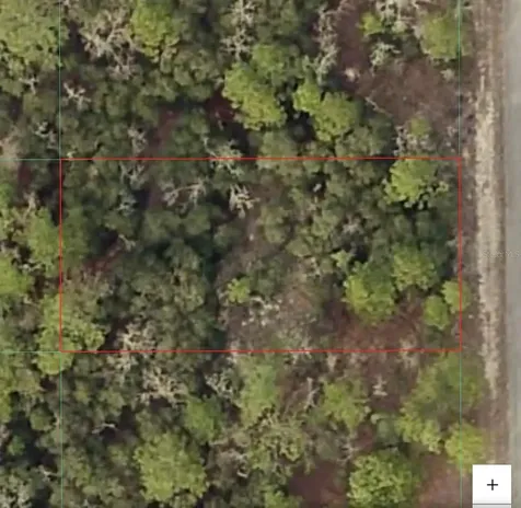 TBD SW Seaweed Avenue Dunnellon FL 34431