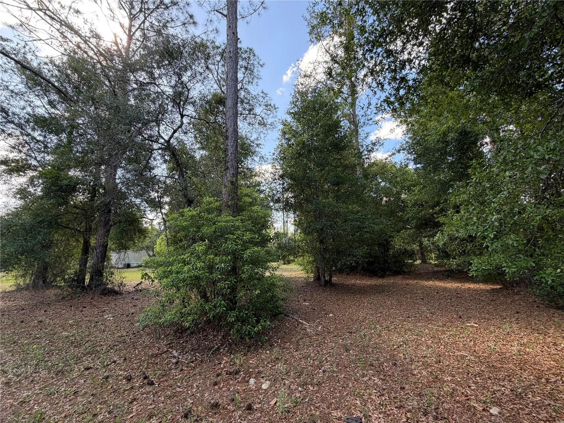 30842 Round Lake Road Mount Dora FL 32757