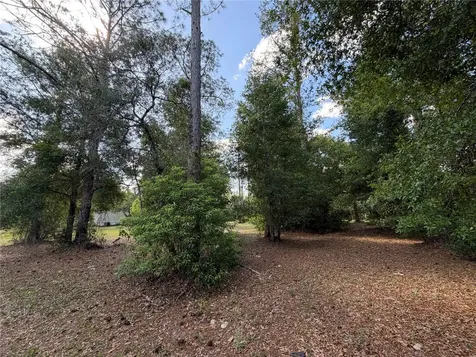 30842 Round Lake Road Mount Dora FL 32757