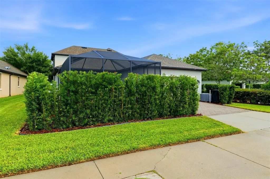 3231 Heart Pine Avenue Odessa FL 33556