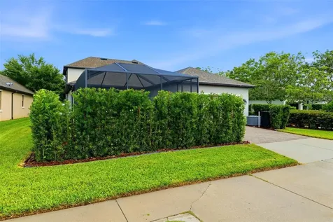 3231 Heart Pine Avenue Odessa FL 33556