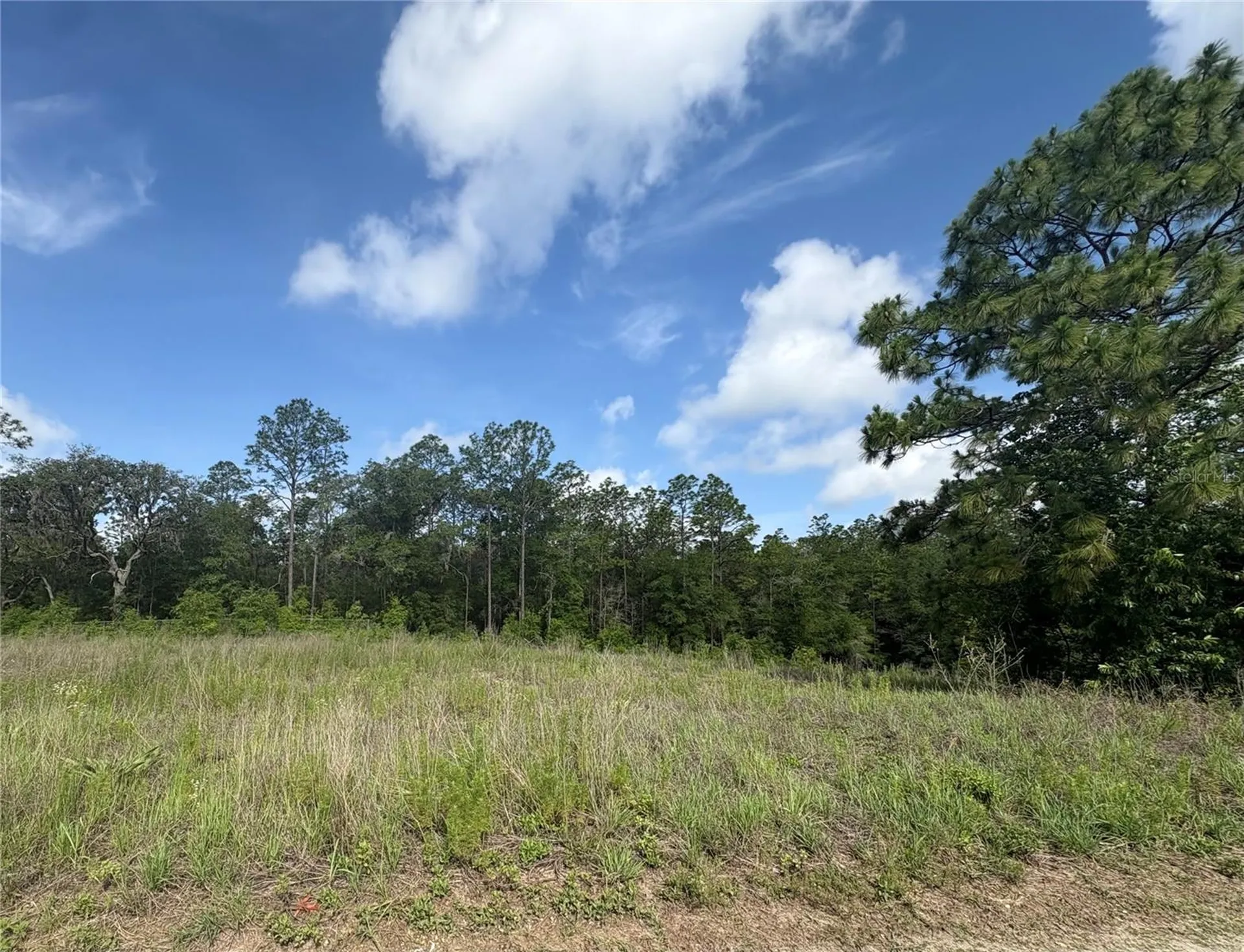 Tbd SW 152 Court Ocala FL 34481