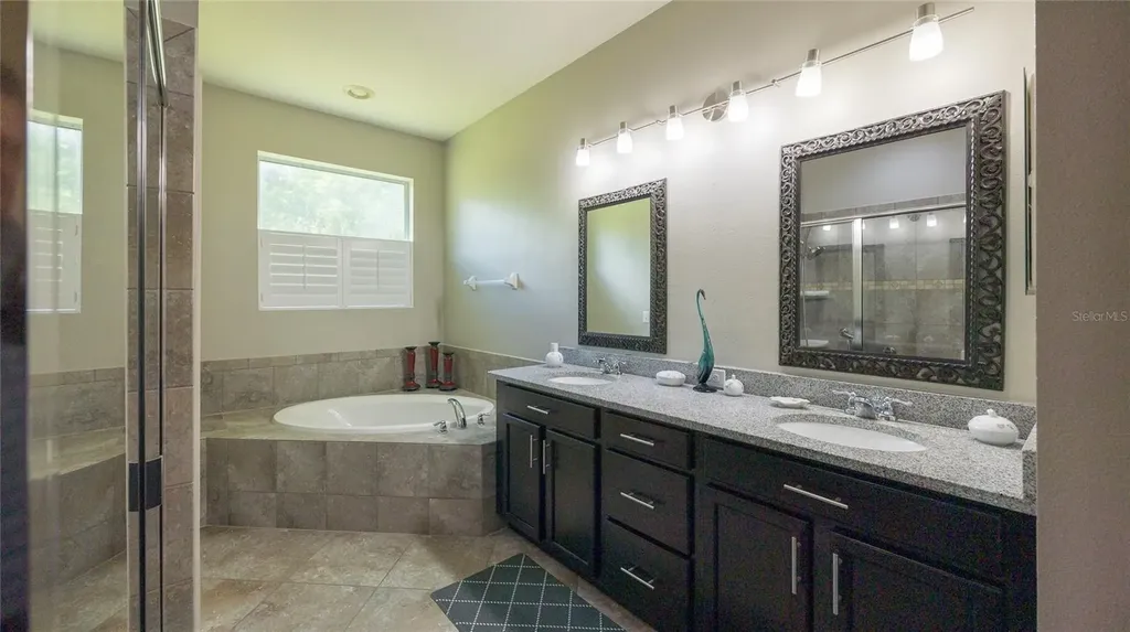 22564 Cherokee Rose Place Land O Lakes FL 34639