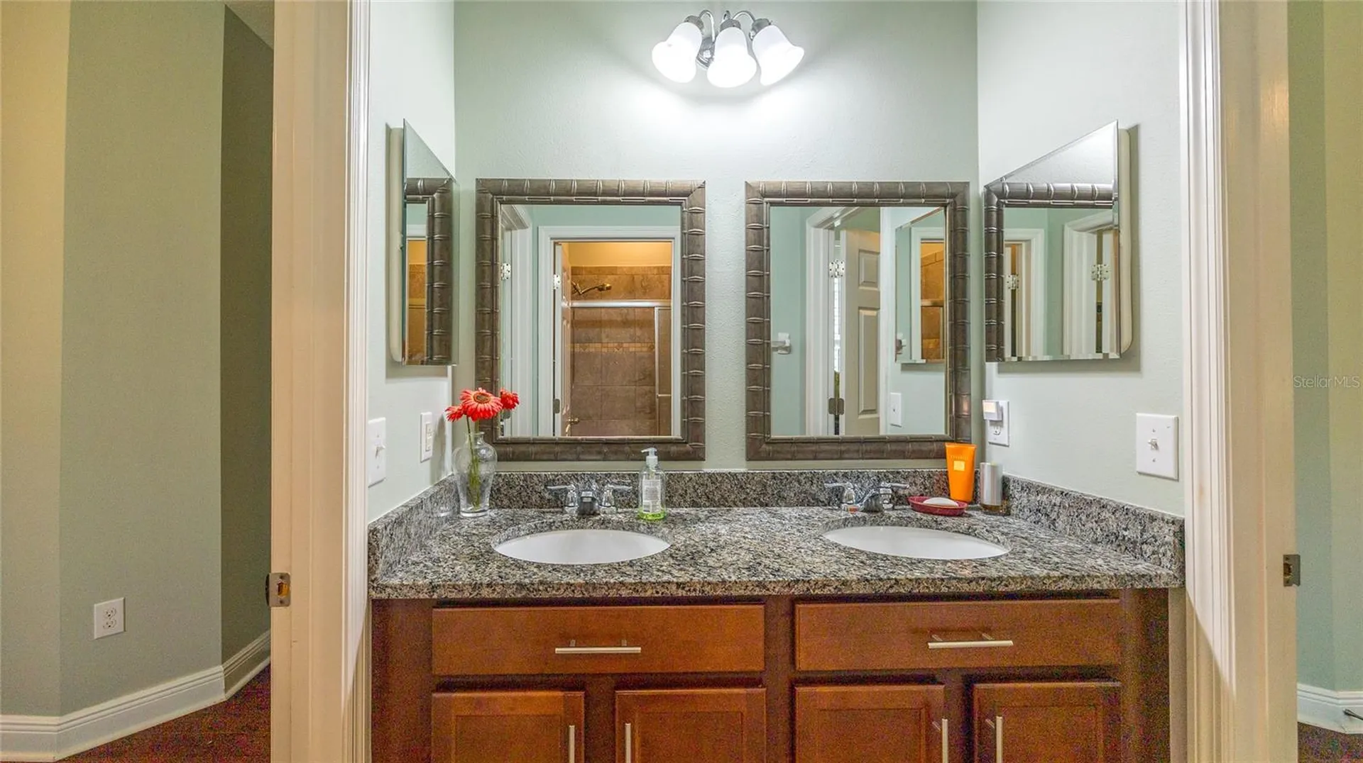22564 Cherokee Rose Place Land O Lakes FL 34639