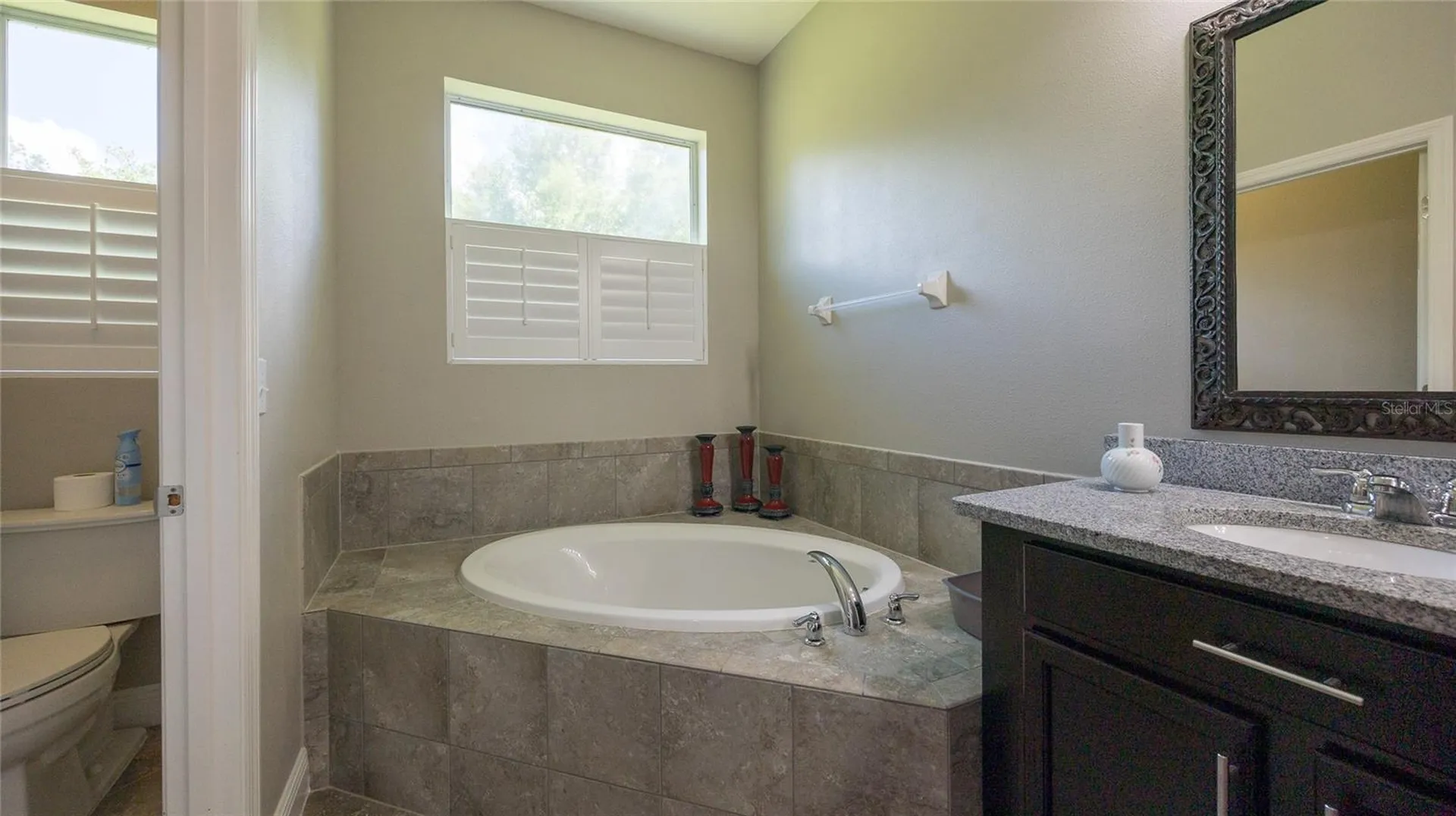 22564 Cherokee Rose Place Land O Lakes FL 34639