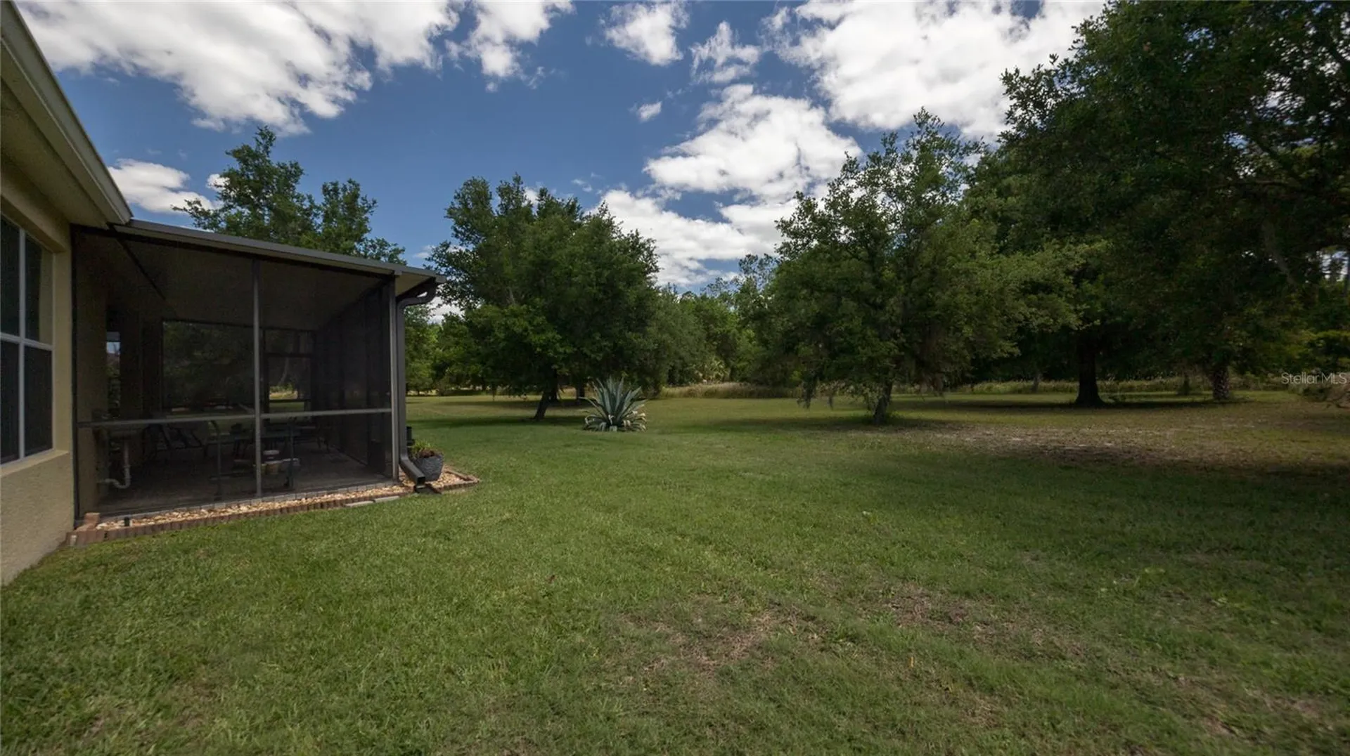 22564 Cherokee Rose Place Land O Lakes FL 34639