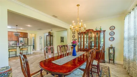 22564 Cherokee Rose Place Land O Lakes FL 34639