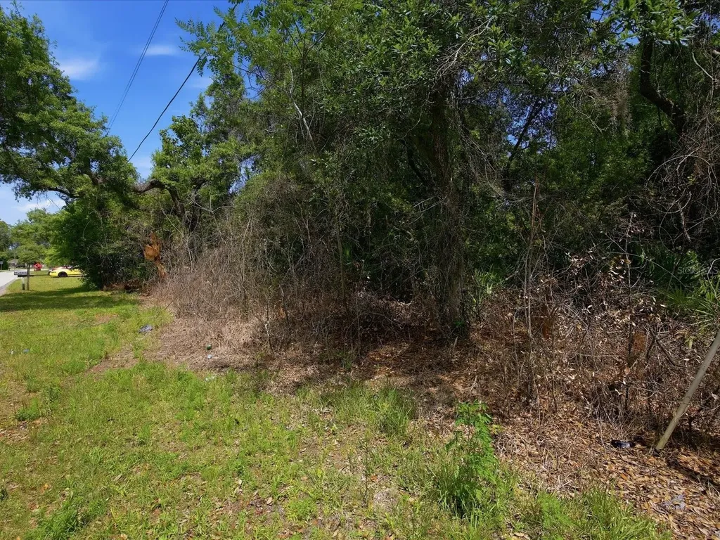 W Lake Drive Deland FL 32724