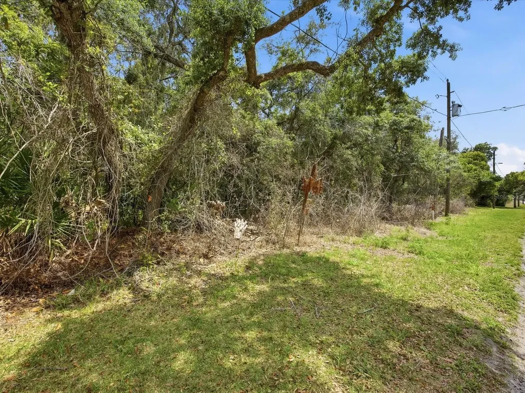 W Lake Drive Deland FL 32724