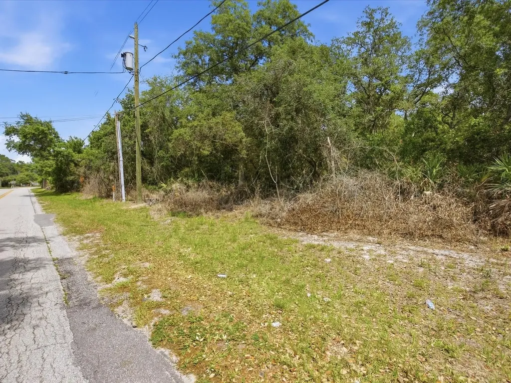 W Lake Drive Deland FL 32724