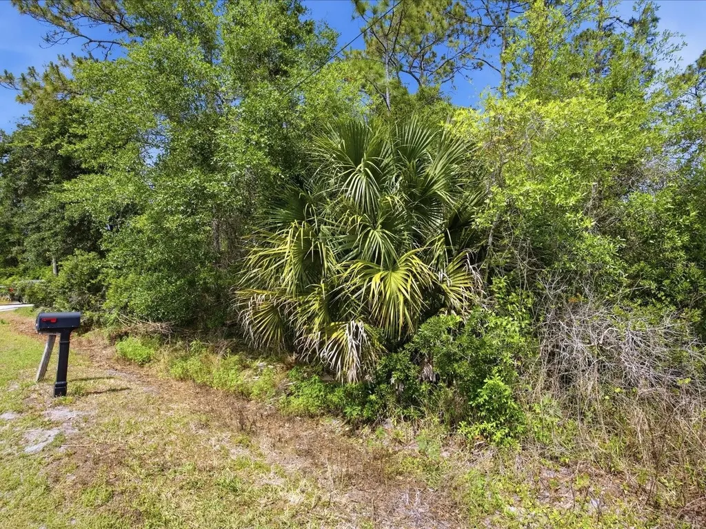 1935 7th Avenue Deland FL 32724