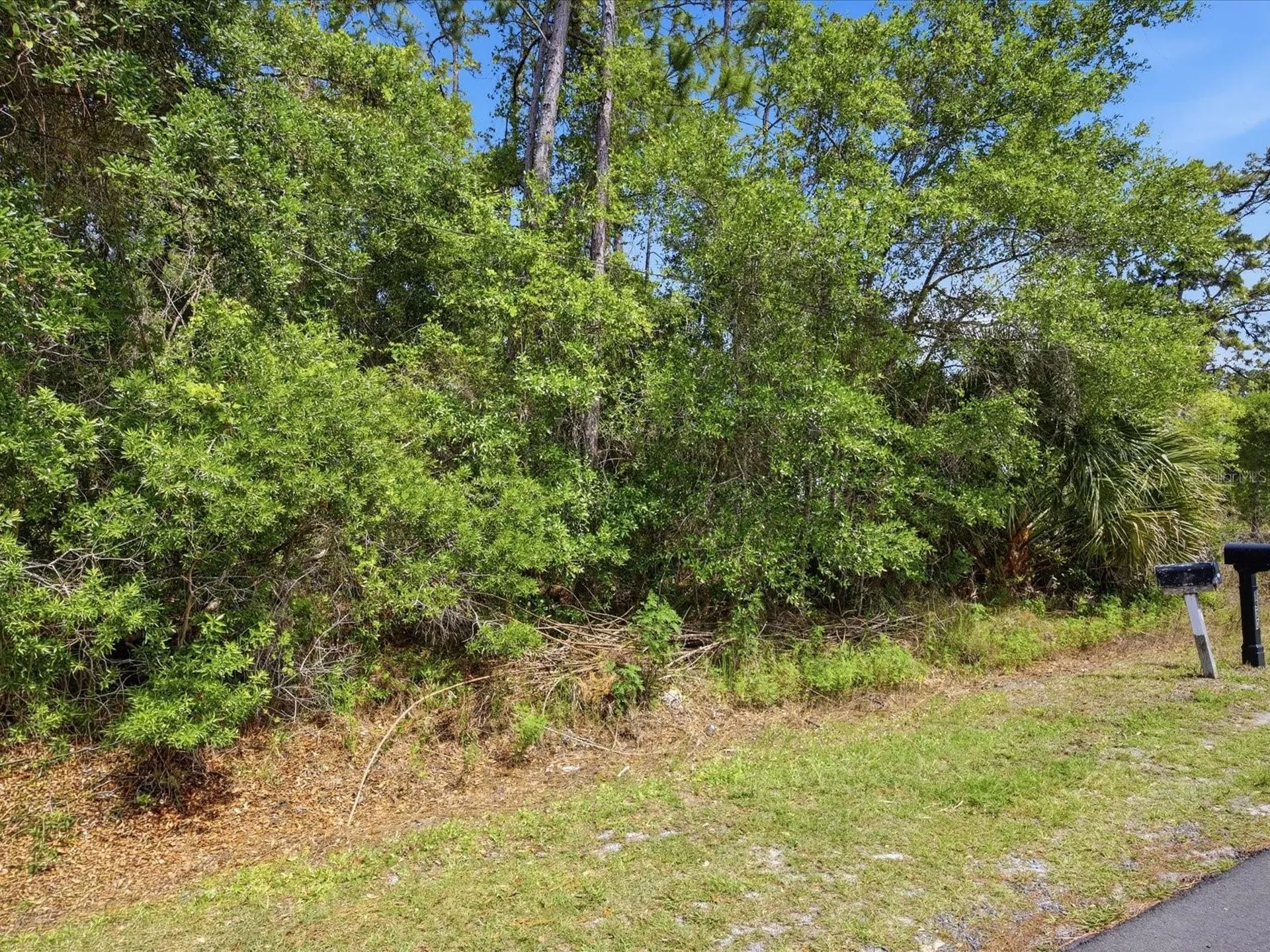 1935 7th Avenue Deland FL 32724