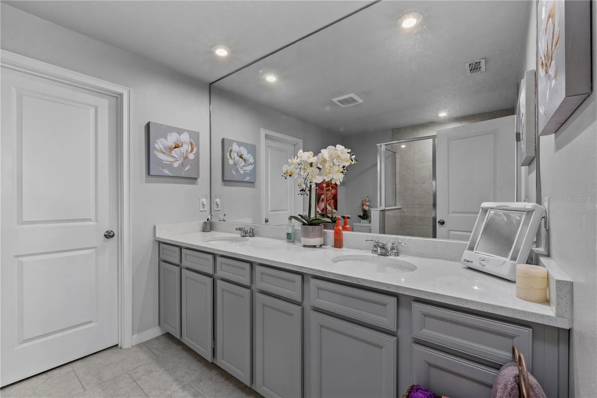 2507 Arbor Wind Drive Lutz FL 33558