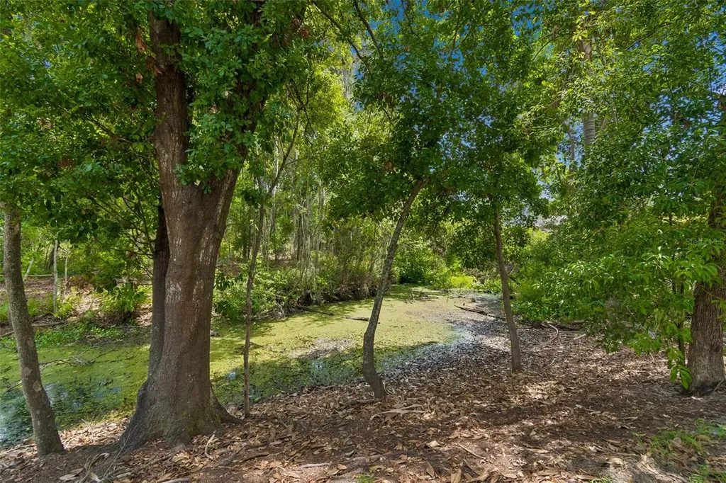 1005 Highgrove Court Valrico FL 33596