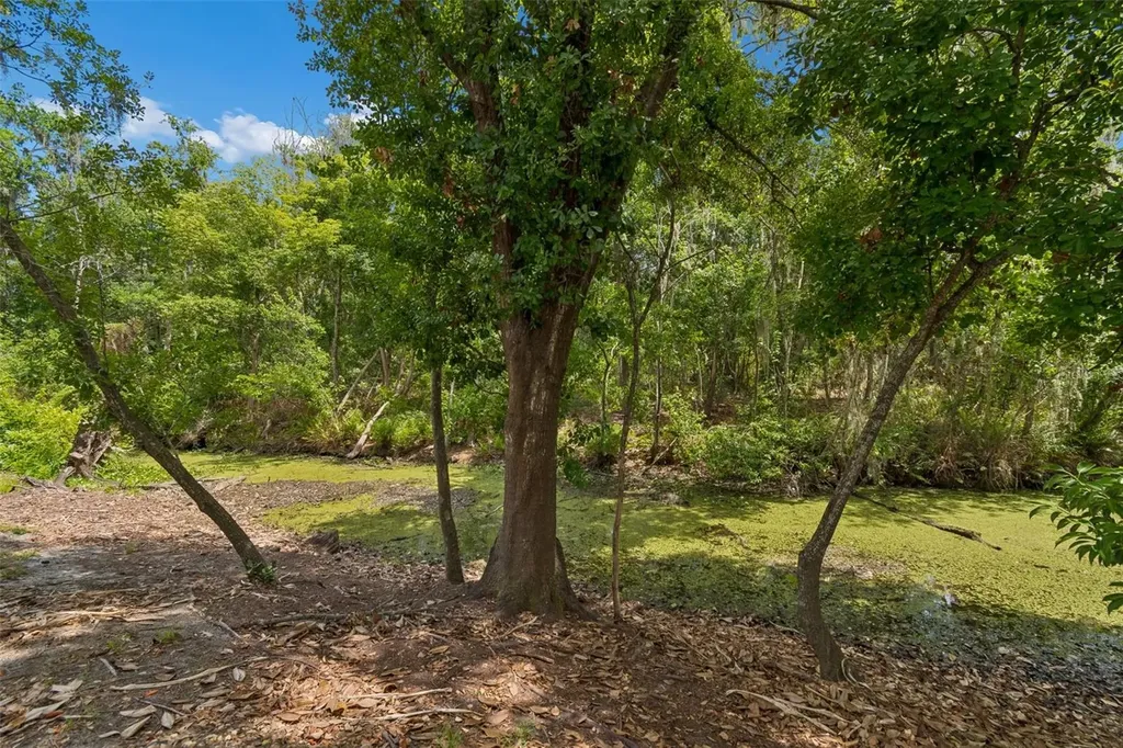 1005 Highgrove Court Valrico FL 33596