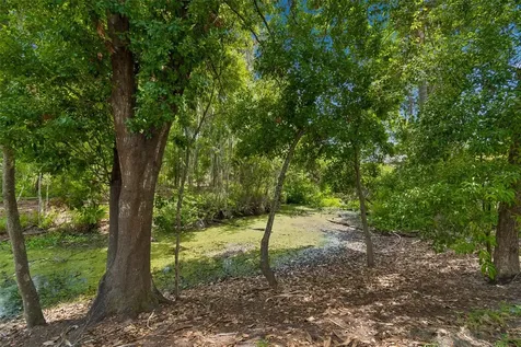 1005 Highgrove Court Valrico FL 33596