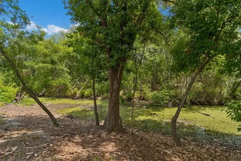 1005 Highgrove Court Valrico FL 33596