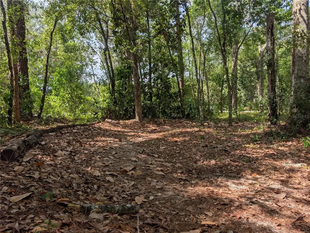 315 Garfield Avenue Brooksville FL 34604