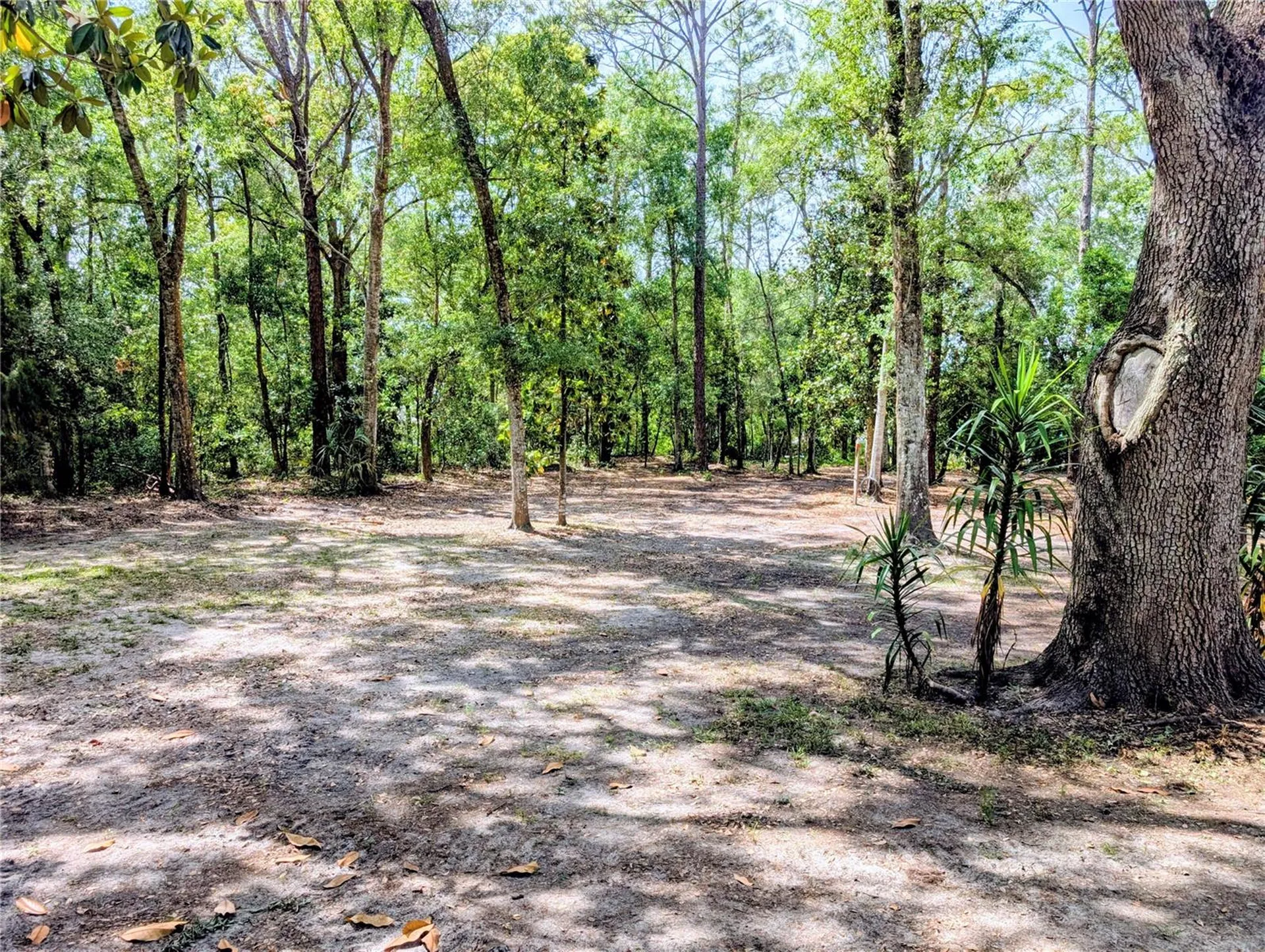 315 Garfield Avenue Brooksville FL 34604