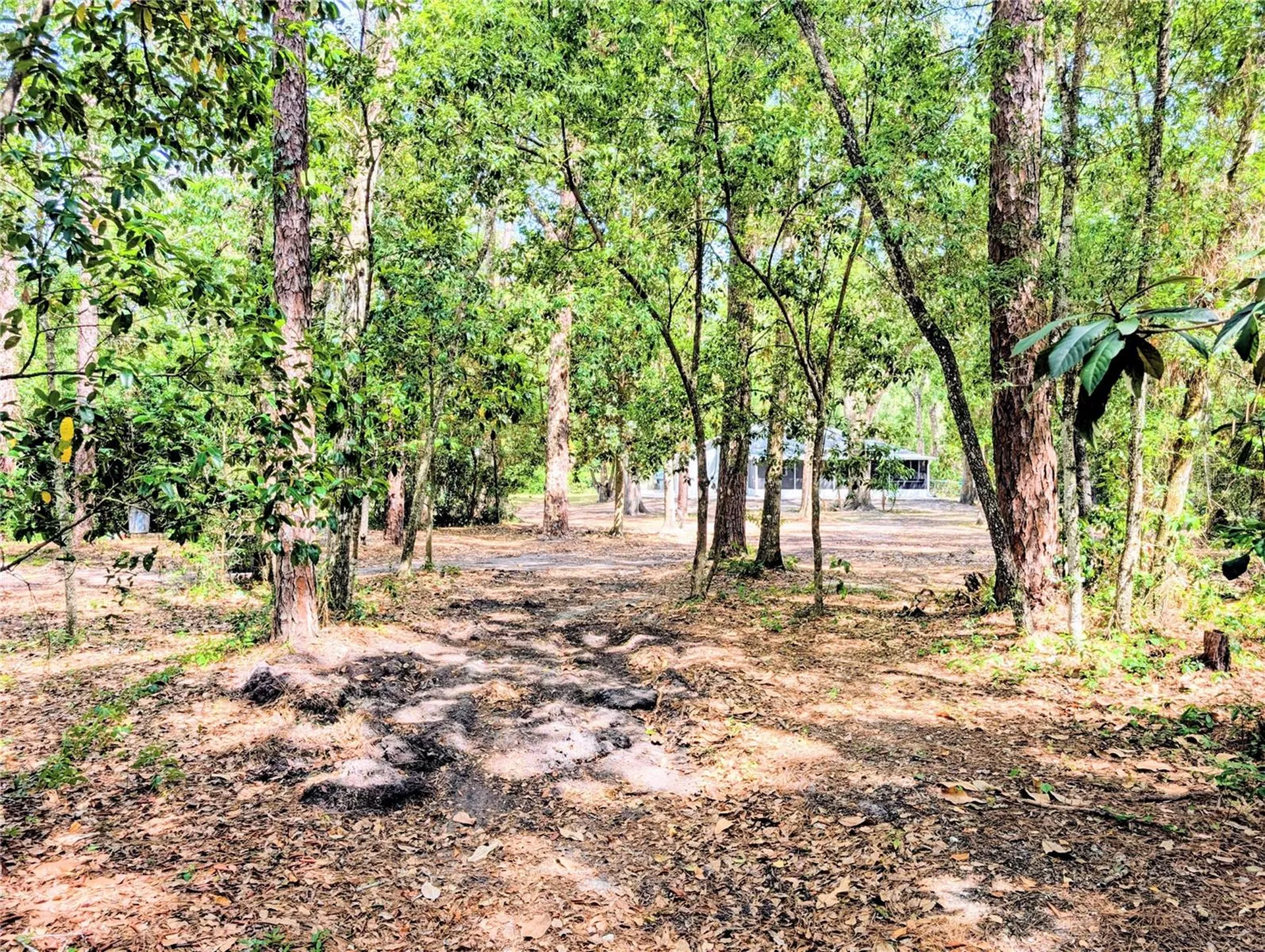 315 Garfield Avenue Brooksville FL 34604
